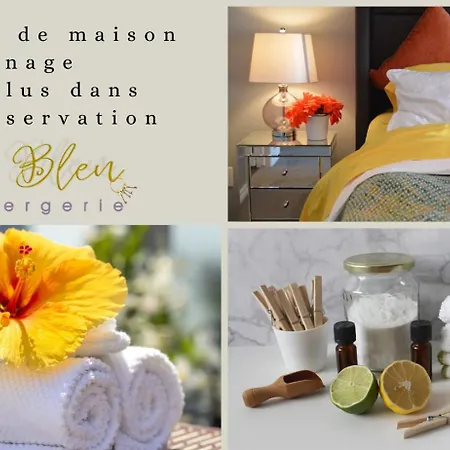 Terrasse Du Laurier - Centre-ville - Ascenseur *