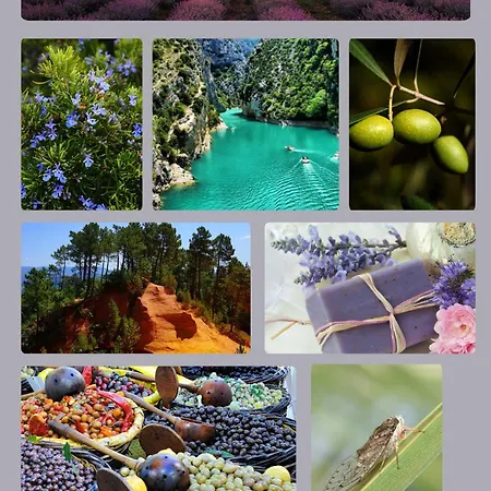 Apartamento Terrasse Du Laurier - Centre-ville - Ascenseur *