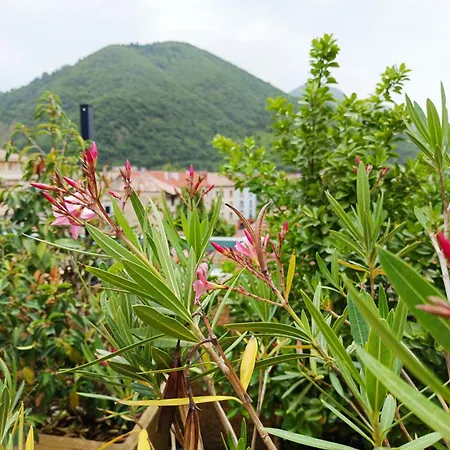 Terrasse Du Laurier - Centre-ville - Ascenseur *